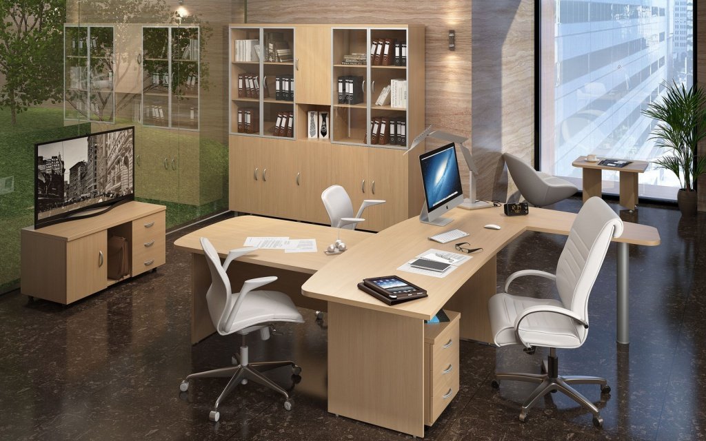 Кабинет руководителя Эталон - вид 2